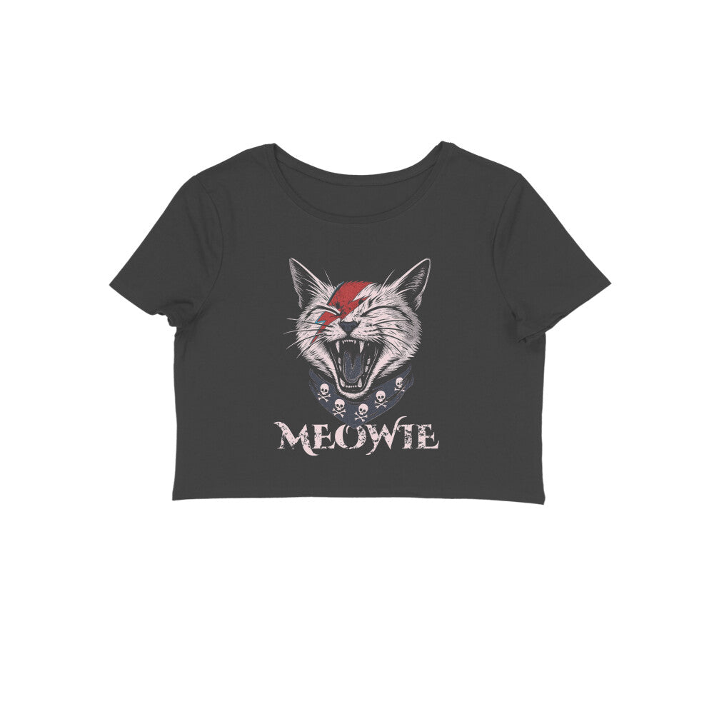 Front View - 5703402