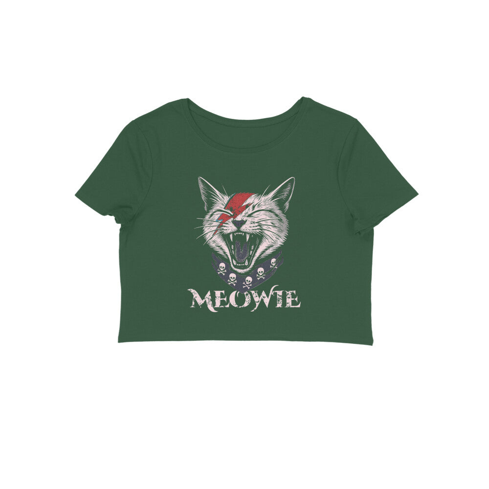 Front View - 5703405